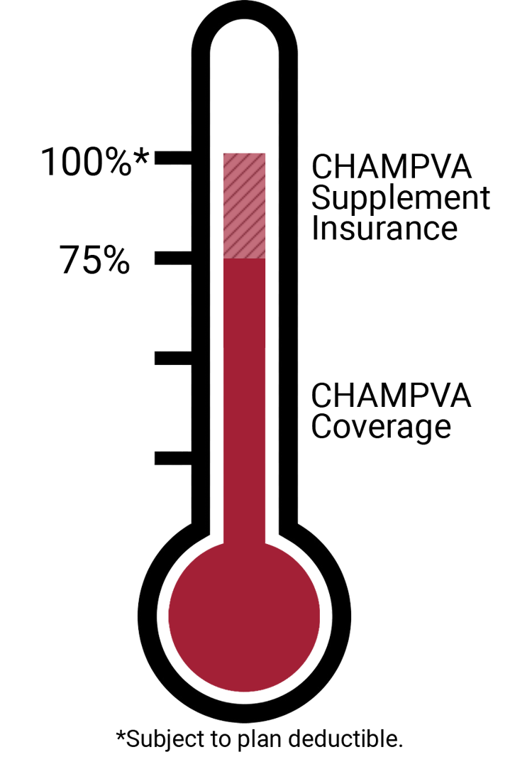 CHAMPVA Supplement Insurance Plan Information Ask a Question